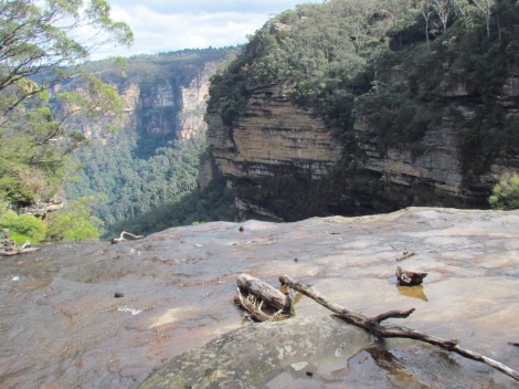 At the top of Wentworth Falls